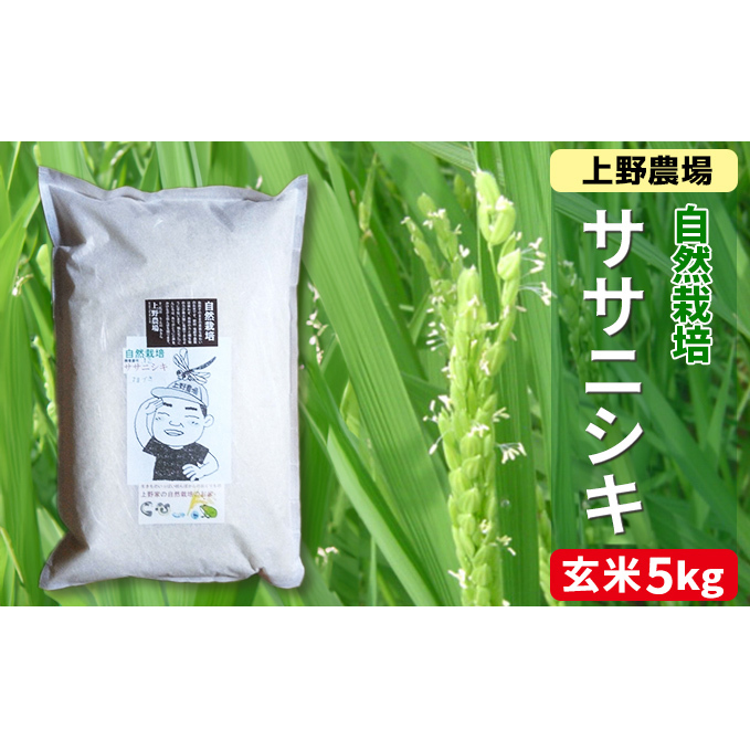 新潟産自然栽培ササニシキ玄米　5kg お米 ご飯 食卓 主食 おにぎり お弁当 国産 日本産 ブランド米 