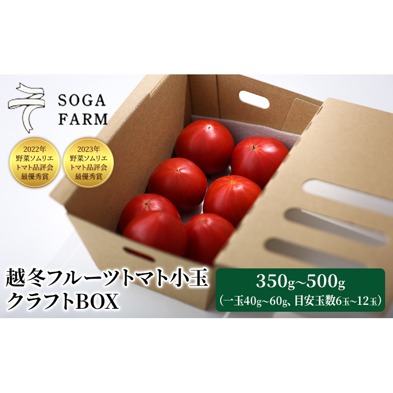 フルーツトマト　3kg セール開催中！いつもありがとう！ 2025年6月発送】SOGA FARM 越冬フルーツトマト小玉 クラフトBOX