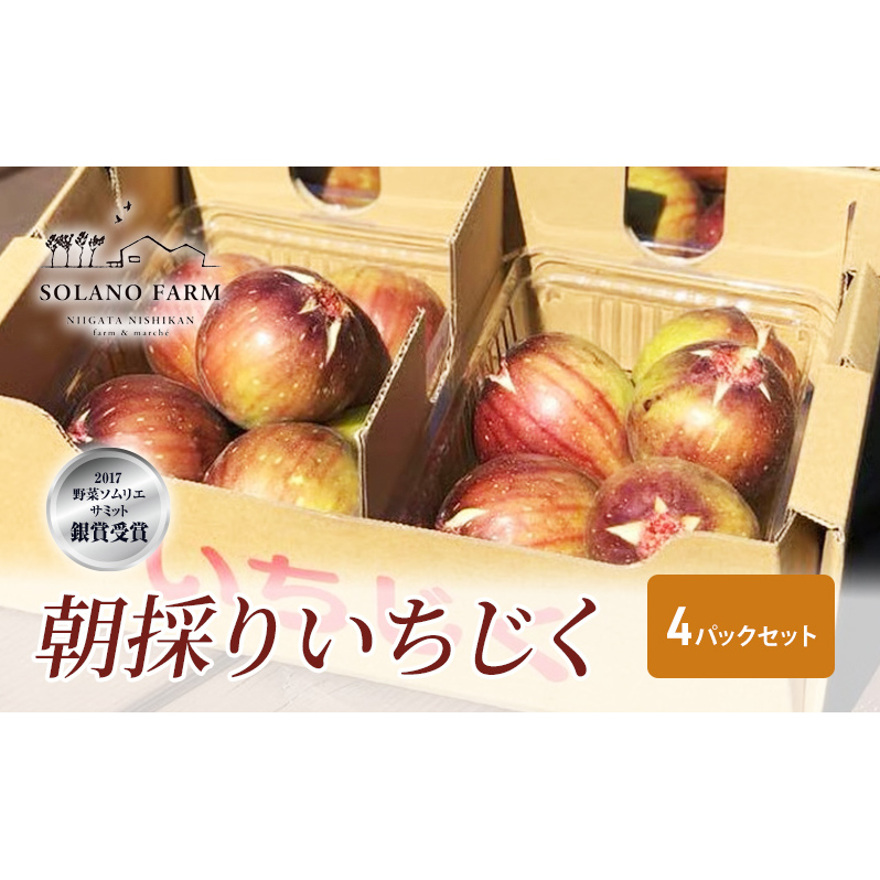 そら野テラスの朝採りいちじく 4パックセット 果物 詰合せ フルーツ
