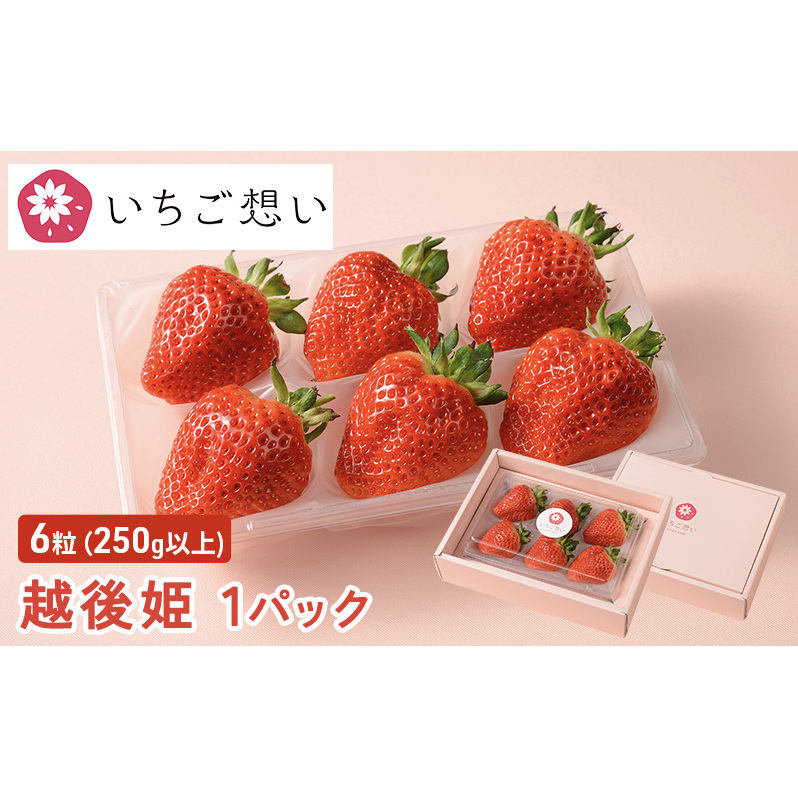 きっと想いが伝わるいちご 越後姫 1パック 果物 フルーツ 食後 デザート 旬の果物 旬のフルーツ ストロベリー 国産 日本産