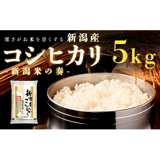 新潟産コシヒカリ 5kg 米 精米