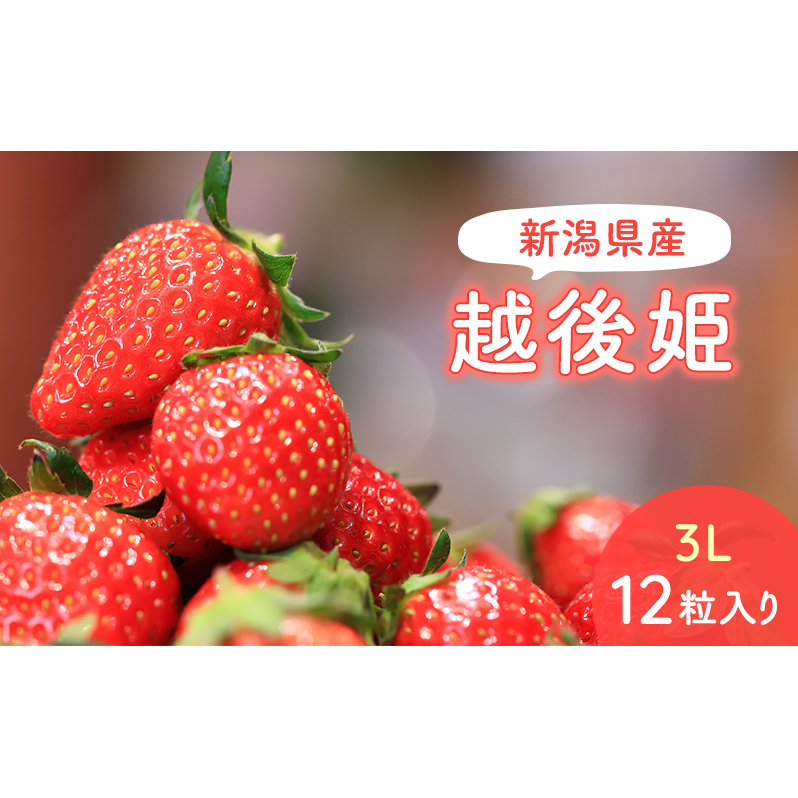 【予約受注】2026年2月下旬より発送新潟県産越後姫3L 12粒入り