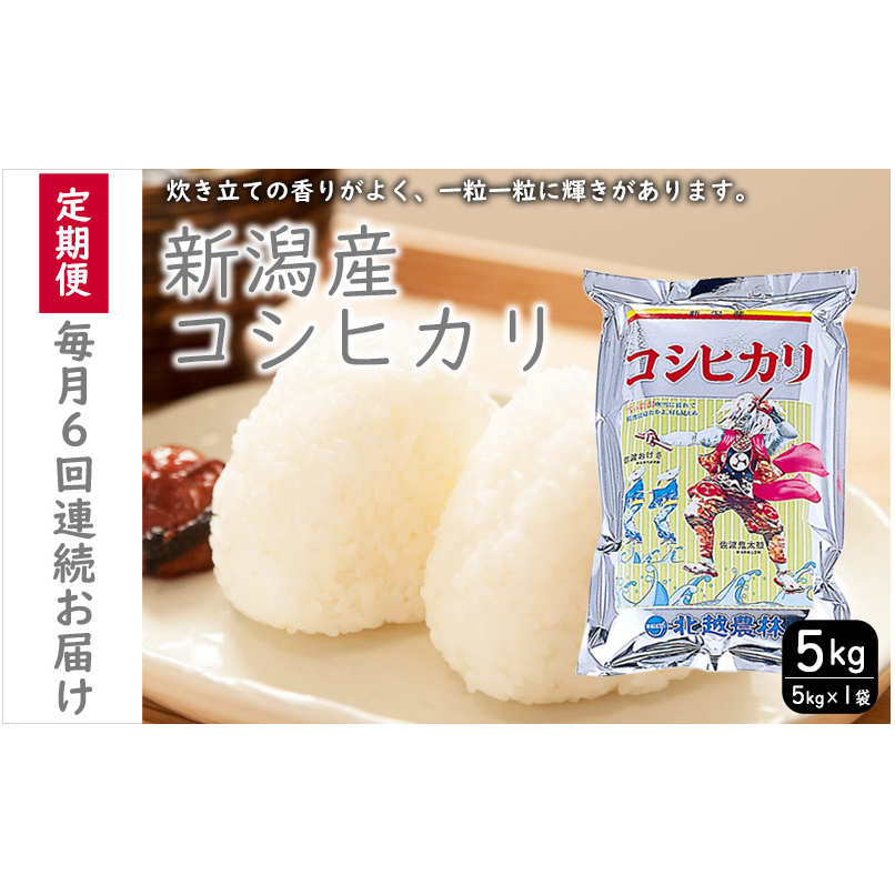 こしひかり 新潟産 コシヒカリ 5kg  毎月6回 連続でお届けします。定期便 米 お米 こめ コメ ごはん 新潟 白米 コシヒカリ ブランド米 銘柄米 お取り寄せ 産地直送