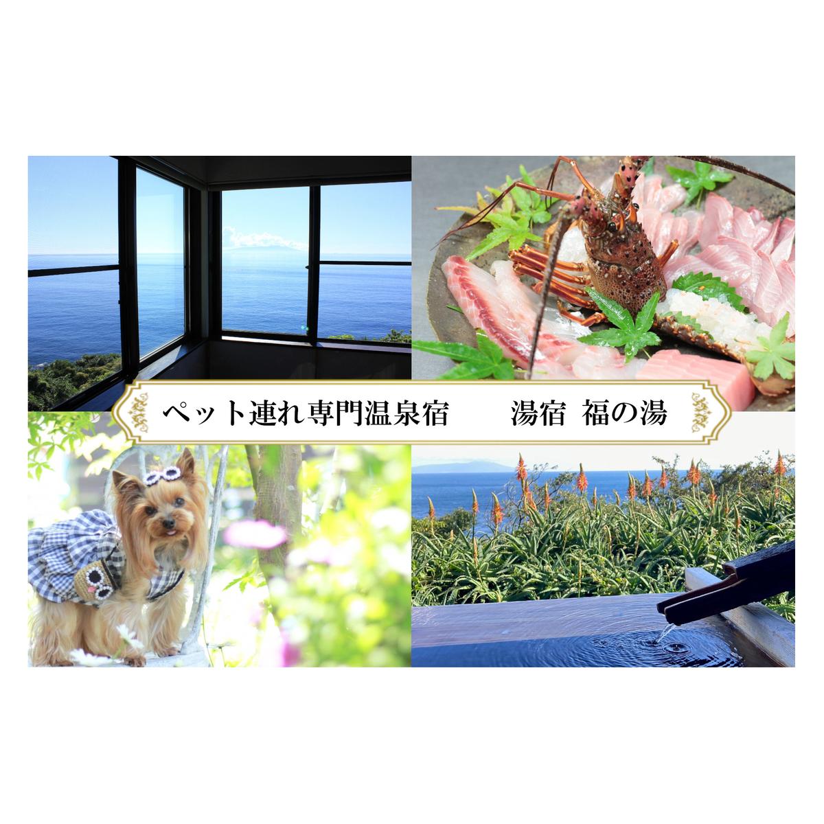 愛犬と泊まる源泉かけ流しの湯宿 湯宿福の湯 平日限定宿泊券1泊2食付き1室2名様ご利用 1291 ／ 福の湯 静岡県 東伊豆 伊豆 愛犬 ペット
