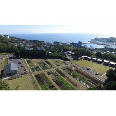 市民農園　年間オーナー権　D004／農家のアドバイスあり　サポート充実　静岡県　東伊豆町
