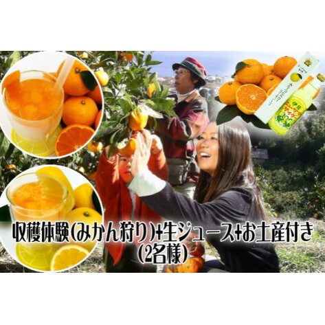 みかん狩り　収穫体験　搾りたて　生ジュース　お土産付　2名様　B018／収穫体験農園ふたつぼり　静岡県　東伊豆町