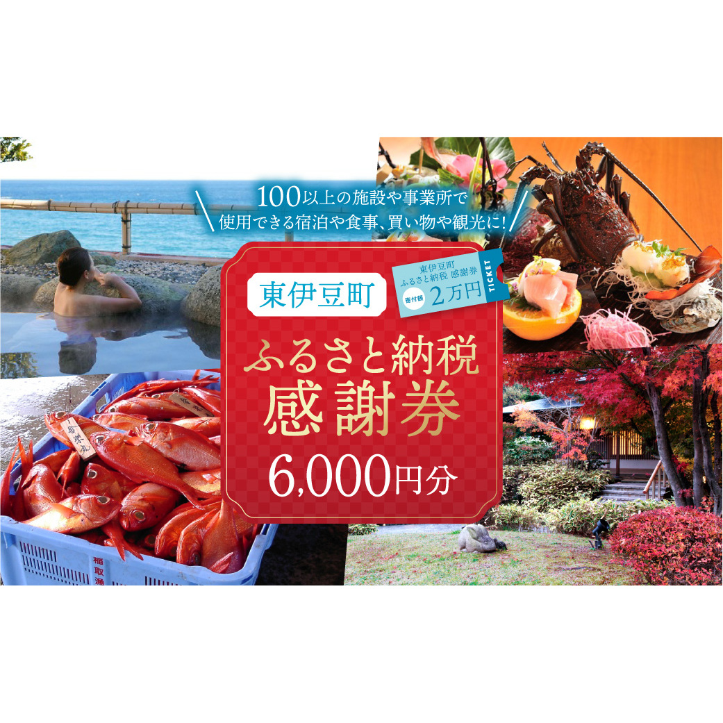 東伊豆町 ふるさと納税 感謝券 6000円 1067 ／ 静岡県 旅行 宿泊 食事 観光 チケット クーポン 補助 リフォーム ホテル 動物園 海鮮 みかん 金目鯛 稲取 熱川 ギフト 土産