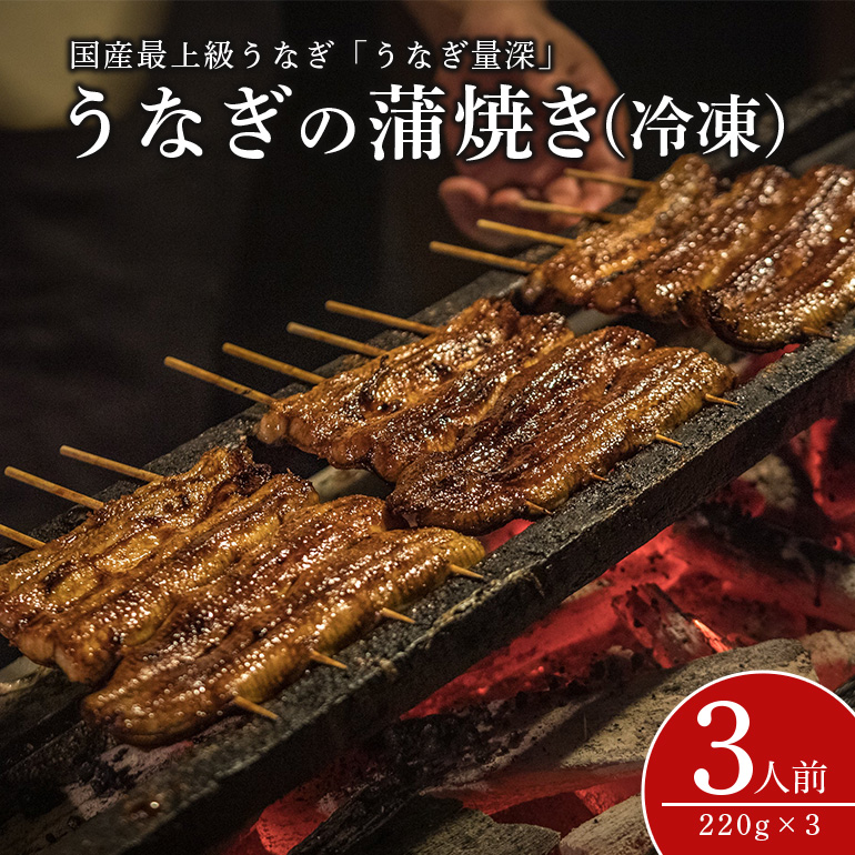 FJ-008 うなぎ3人前セット