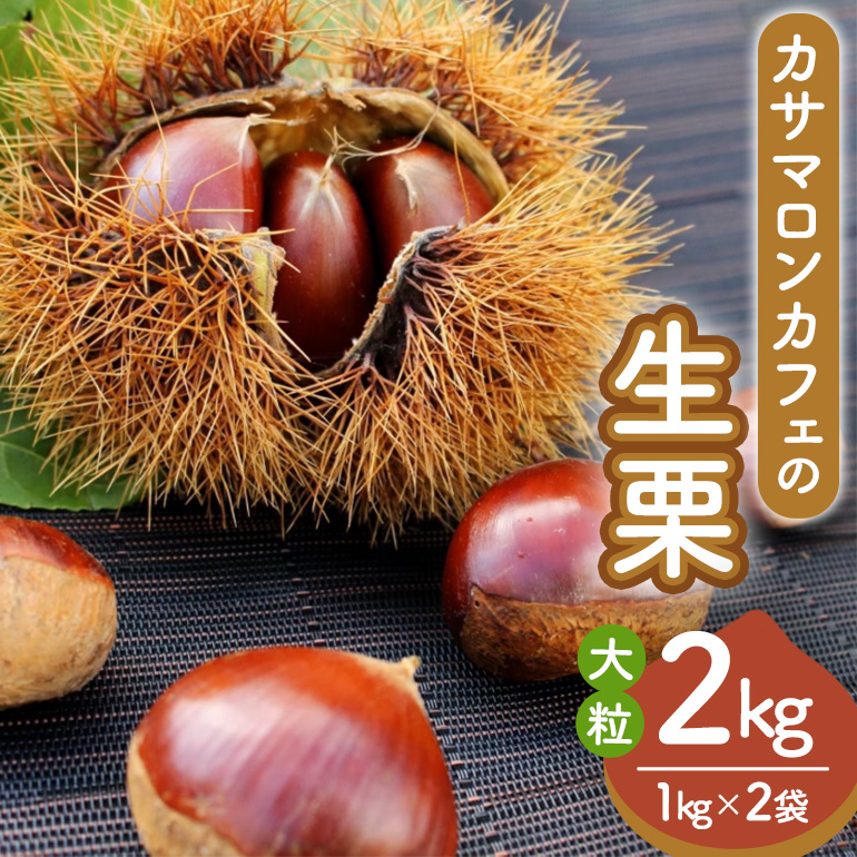 【2025年 秋 出荷】生栗 1kg×2袋 2kg 特大 サイズ 3L 以上 大粒 大きい 数量限定くり クリ 笠間の栗 栗ごはん カサマロン 国産 先行予約 モンブラン 栗きんとん 冷蔵 笠間市