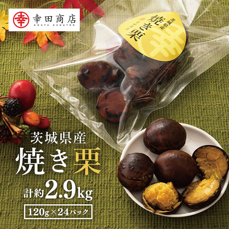 茨城県産 焼栗 12個セット×2 焼き栗 栗 国産 個包装 くり 和栗 甘栗 ギフト プレゼント 秋 旬 おやつ スイーツ 果物 フルーツ 電子レンジ レンジ調理 栗ご飯 栗ごはん 栗ジャム 栗きんとん モンブラン やきぐり 幸田商店 先行予約 笠間 茨城 いばらき