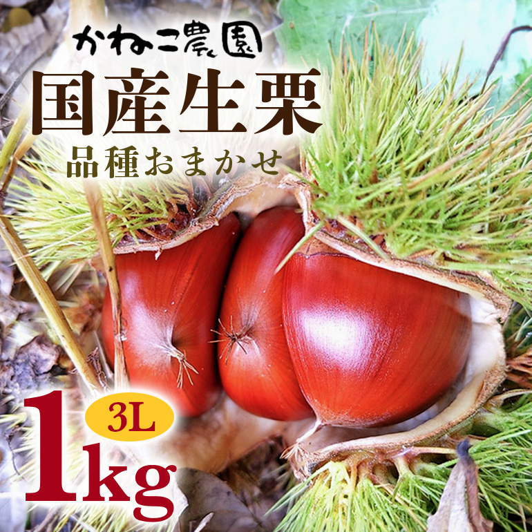 笠間の栗・かねこ農園の生栗 品種おまかせ1kg(3L)