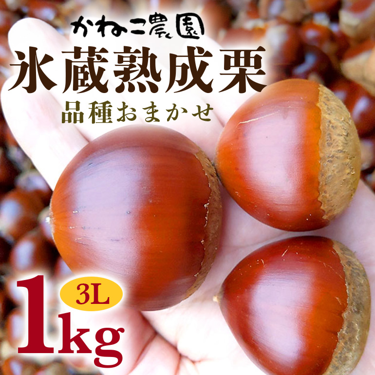 笠間の栗・かねこ農園の氷蔵熟成栗 品種おまかせ1kg(3L)