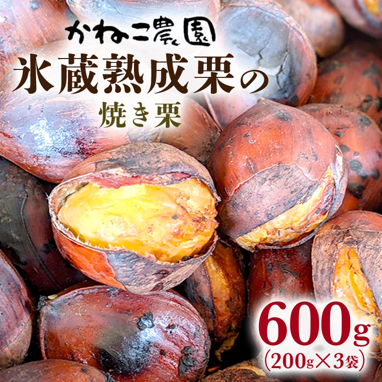 笠間の栗・かねこ農園の焼き栗 200g×3袋