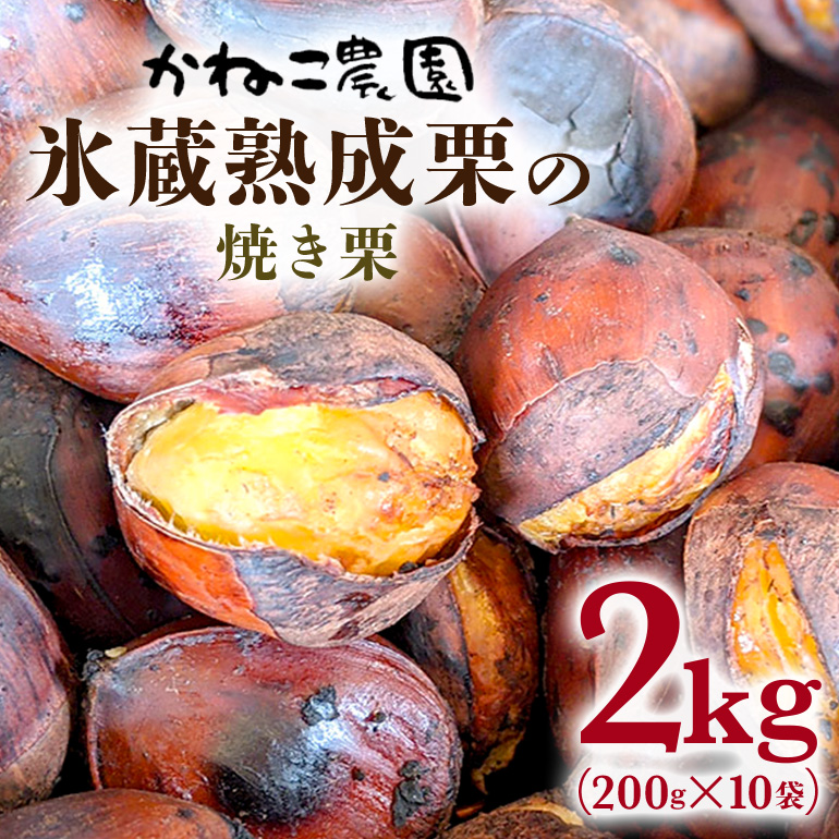 笠間の栗・かねこ農園の焼き栗 200g×10袋