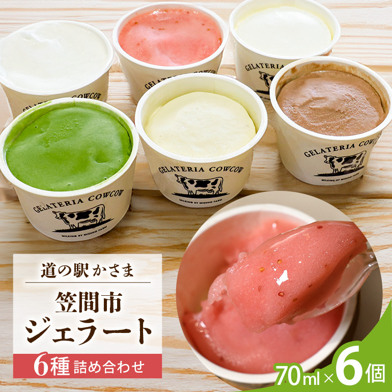 笠間市 ジェラート 6種詰め合わせ 6個セット 道の駅かさま