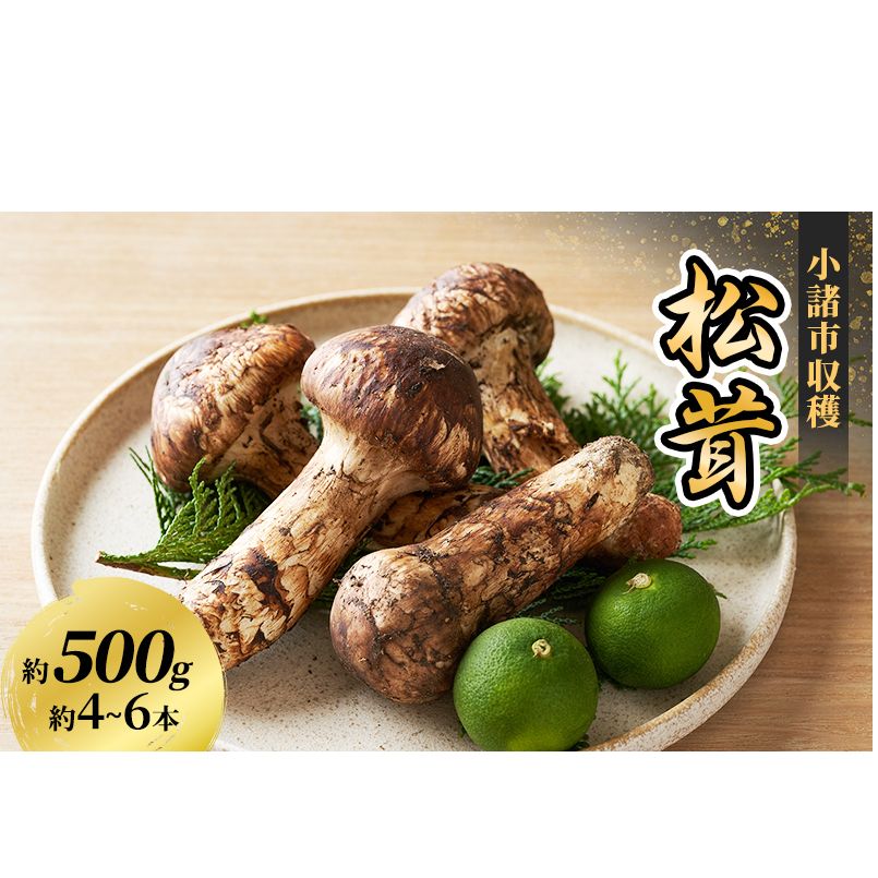 小諸市収穫　松茸　約500g 野菜 きのこ まつたけ マツタケ 山菜 