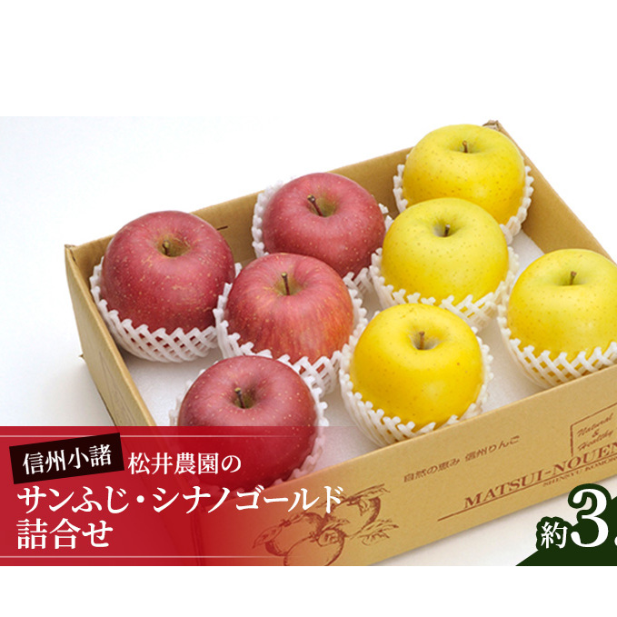 信州小諸　松井農園のサンふじ・シナノゴールド詰合せ　約3.5kg 果物類・林檎・りんご・リンゴ 