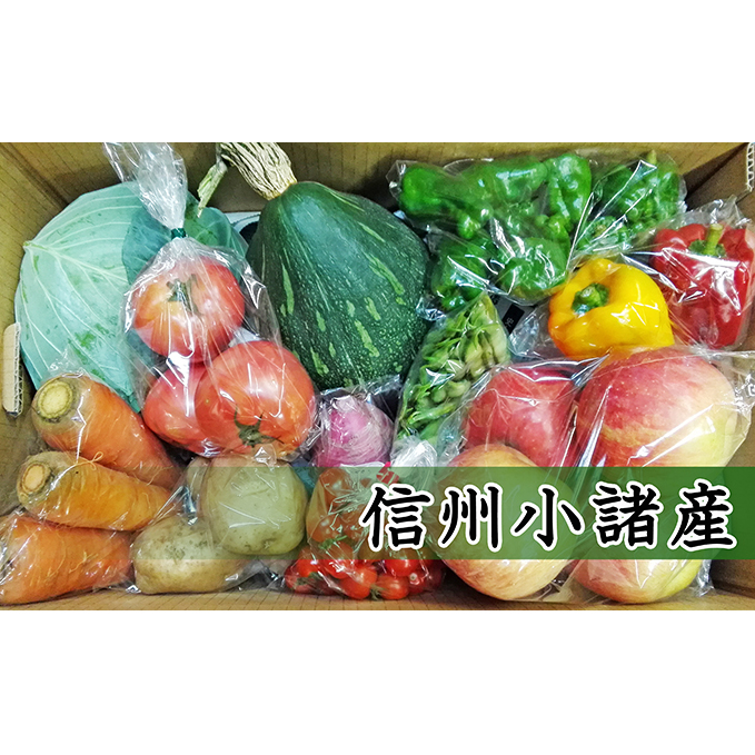 信州小諸 母ちゃんから季節野菜の贈り物 長野 野菜詰合せ セット やさい 