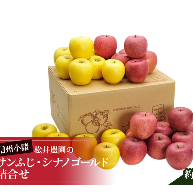 信州小諸　松井農園のサンふじ・シナノゴールド詰合せ　約10kg 果物類・林檎・りんご・リンゴ 