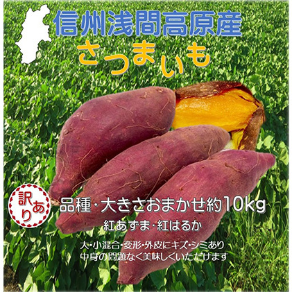 さつまいも 約10kg 食べ比べ 野菜 
