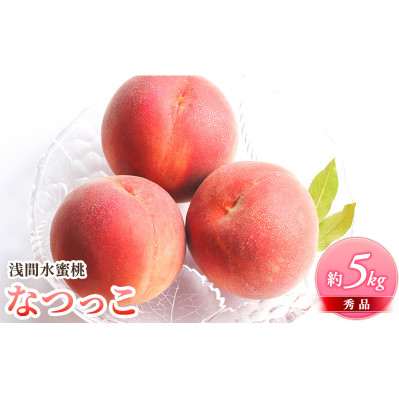 ふるさと納税 2025年発送 浅間水蜜桃 もも なつっこ 秀品 約5kg 長野県産 小諸市 桃 果物 もも フルーツ モモ 果肉