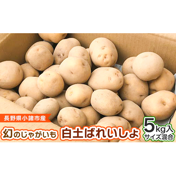 幻のじゃがいも　白土ばれいしょ 野菜 粘土 甘み 濃い味 ホクホク 高級 ブランド シェア おススメ 