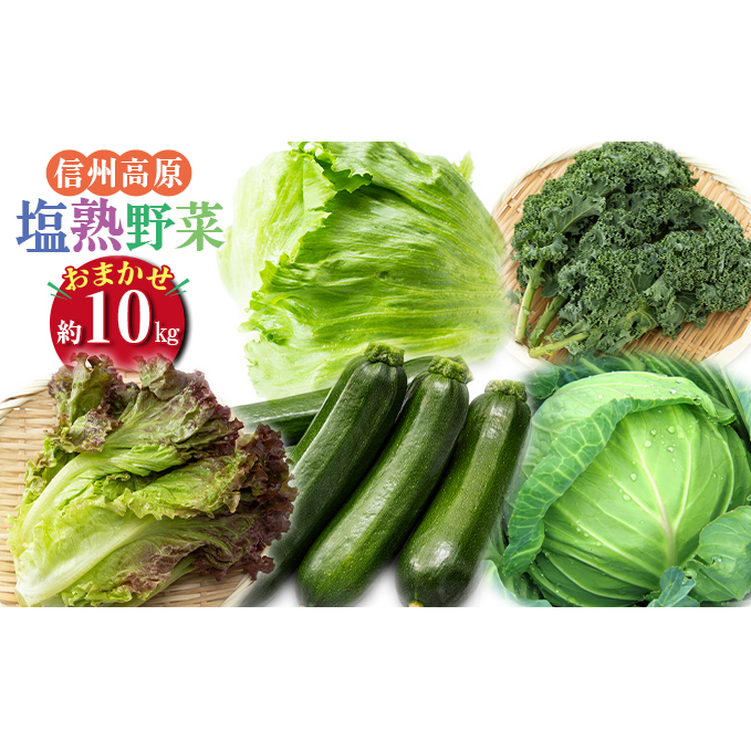 信州高原塩熟野菜 約10kg お任せ 野菜セット 野菜詰め合わせ レタス キャベツ ズッキーニ カリーノケール サニー おたのしみ 