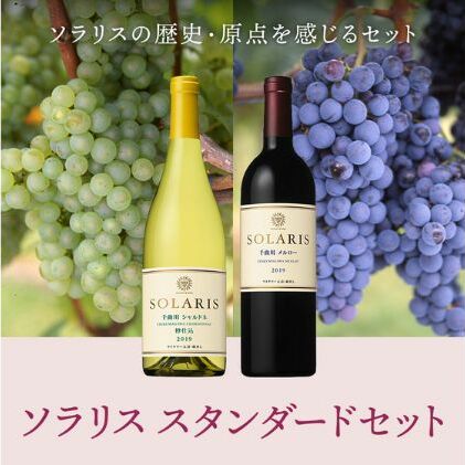 ソラリス スタンダードセット ワインセット ワイン 赤ワイン 白ワイン フレッシュ 果実香 ほどよい酸味 アロマ 果実味 タンニン