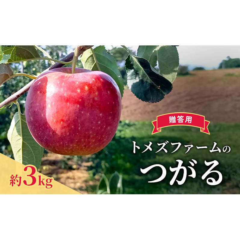 つがる（贈答用） 約3kg（8玉〜12玉入り）トメズファーム　りんご　長野　信州　小諸　果物　フルーツ