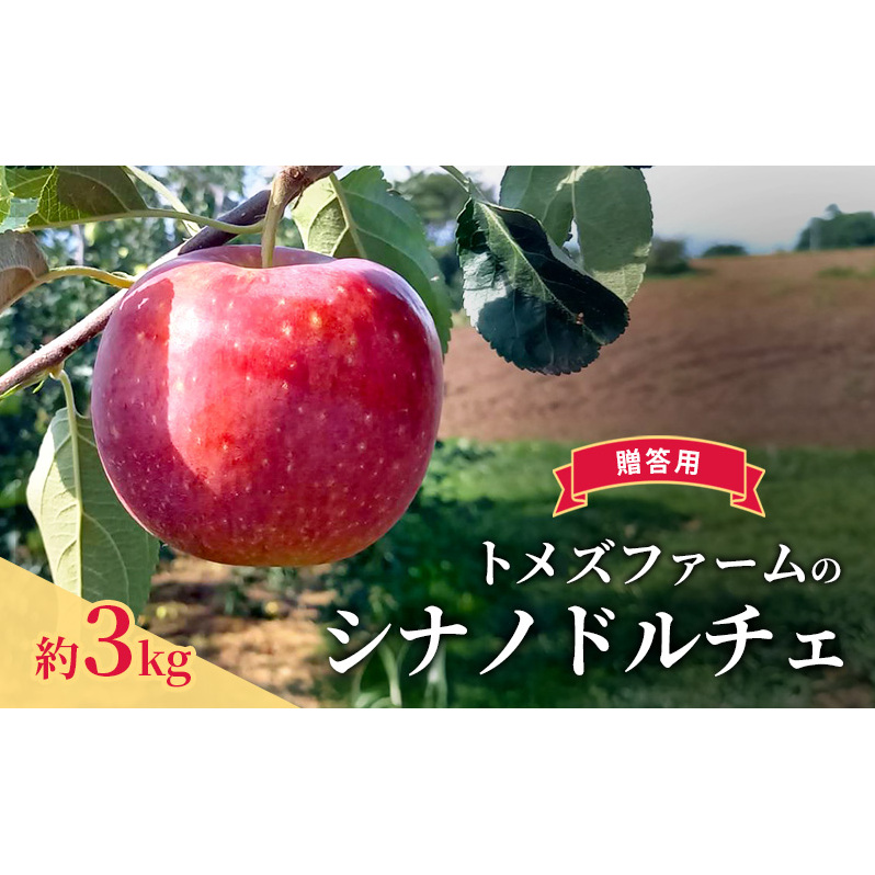 シナノドルチェ（贈答用） 約3kg（8玉〜12玉入り）トメズファーム　りんご　長野　信州　小諸　果物　フルーツ