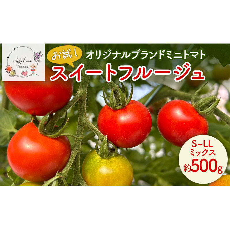 【お試し】 スイートフルージュ 約500g アイビーファーム ミニトマト 長野 信州 小諸 産地直送