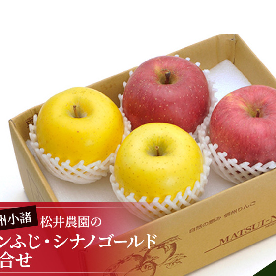 信州小諸　松井農園のサンふじ・シナノゴールド詰合せ　約2kg 果物類・林檎・りんご・リンゴ 