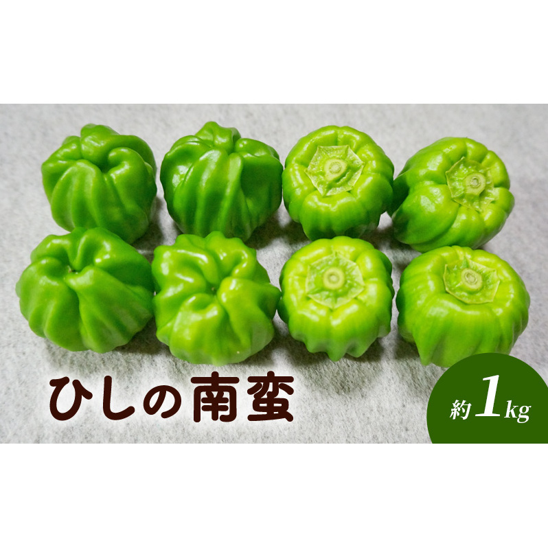 ひしの南蛮 約1kg 野菜 国産 国産野菜 アオトウガラシ 信州の伝統野菜 柔らかい 旬の食材 旬の野菜 