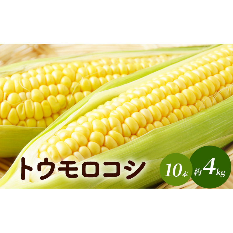トウモロコシ(味来)10本 約4kg 野菜 コーン 甘い 生でも食べられる 食材 国産 国産野菜 グルメ
