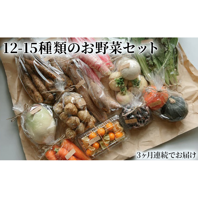 野菜の定期便 てのひら小諸 12~15種類 3ヶ月連続お届け