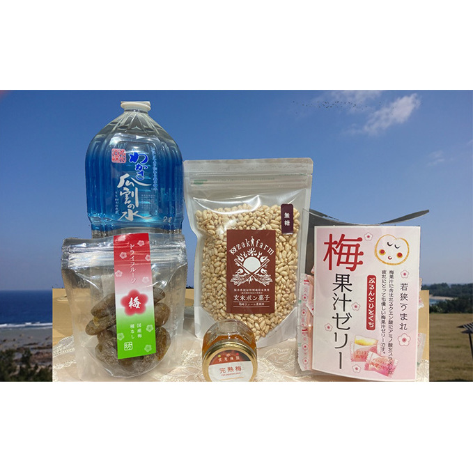 赤ちゃんやペットも食べられる！贈り物にもピッタリ！若狭おやつセット　　目白大学の学生が考案、その3 和菓子 スイーツ お菓子 ゼリー ジュレ ジャム お菓子セット 