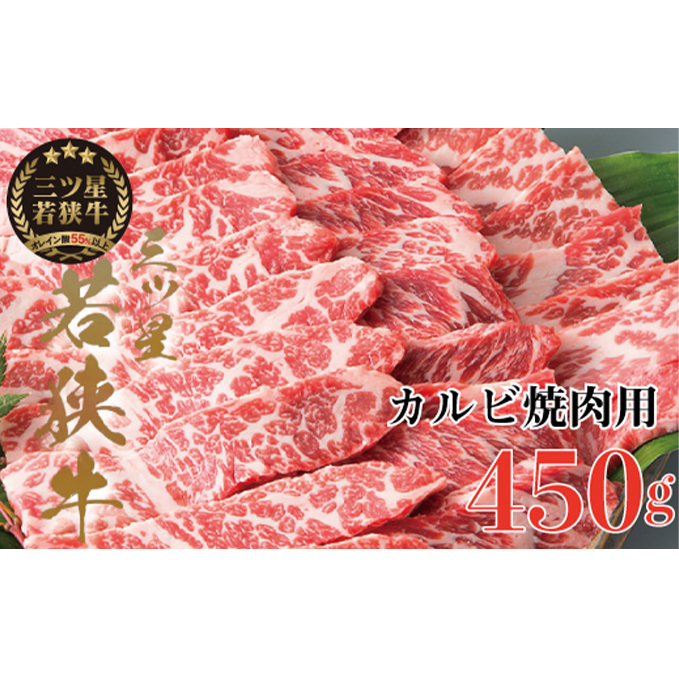 三ツ星 若狭牛 カルビ 焼肉用 450g 高島屋 選定品 焼肉 黒毛和牛 和牛 ブランド牛 牛肉 牛 肉 お肉 ビーフ 焼き肉 BBQ バーベキュー 冷凍 冷凍配送 福井県 福井 若狭町 若狭