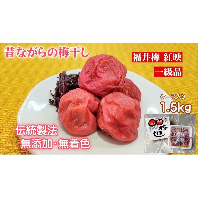 昔ながらの梅干し 一級品（福井県若狭町）伝統製法にこだわり仕上げた無添加・無着色の梅干し／ケース入り1.5kg ご飯のお供 肉厚 種が小さい 紅映 天然塩 鮮やか 芳醇な香り コク 紫蘇漬け 二度漬け すっぱい 