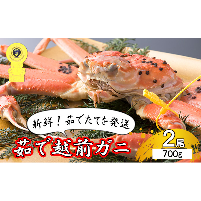 茹で越前ガニ【期間限定】食通もうなる本場の味をぜひ、ご堪能ください。約700g 2尾セット 越前がに 越前かに 越前カニ カニ ボイルガニ ずわい蟹 ずわいガニ ズワイガニ 蟹 