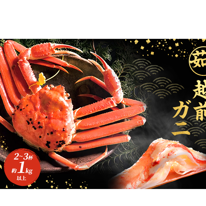 訳あり 茹で 越前ガニ 約1kg以上 2～3杯 年末配送 食通もうなる本場の味をぜひ、ご堪能ください 越前かに 蟹 カニ かに ボイルカニ ボイル蟹 ポーション ズワイガニ 海鮮 脚折れ 訳アリ 福井 福井県 若狭町