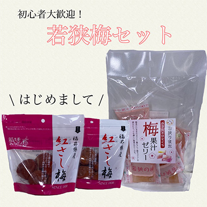初心者大歓迎!若狭梅はじめましてセット　目白大学の学生が考案、その8 梅干し お菓子 ゼリー ジュレ 