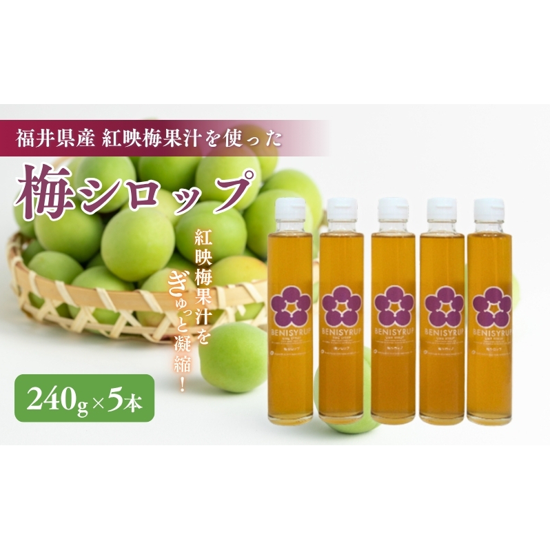 梅シロップ（ベニシロップ）5本 飲料 ドリンク 果実飲料 ジュース 飲料類 