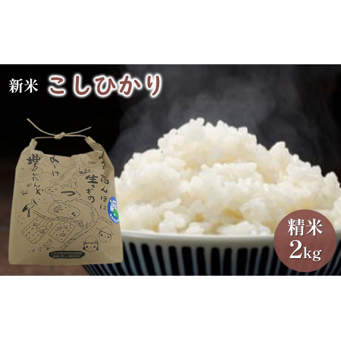 【先行予約】こしひかり2kg（令和7年度産）特別栽培米　若狭・天狗山農園 お米 代表 食感 精米 農薬 化学肥料 