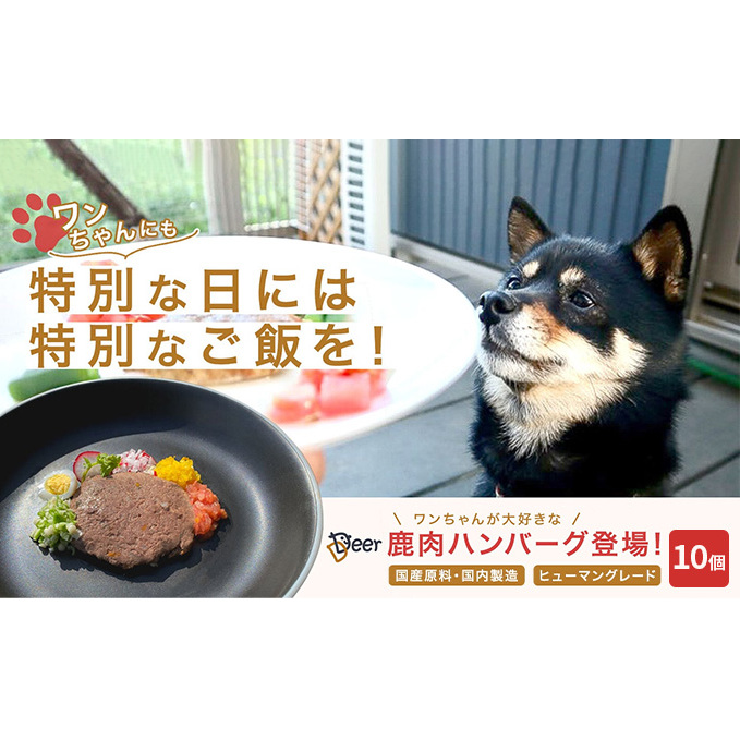 鹿肉ドッグフード　鹿肉ハンバーグ（犬用）　10個（約50g×10個） 加工食品 お肉 家族 健康 食事 大切 ペット 自然 新鮮 動物 高品質 安心 安全 国産 子犬 老犬 栄養 小分け 