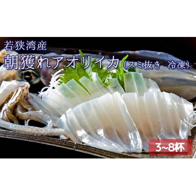 朝どれ アオリイカ 3～8杯 スミ抜き 冷凍 若狭湾産 朝どれ魚 イカ 烏賊 いか 冷凍イカ 海鮮 福井 福井県 若狭町