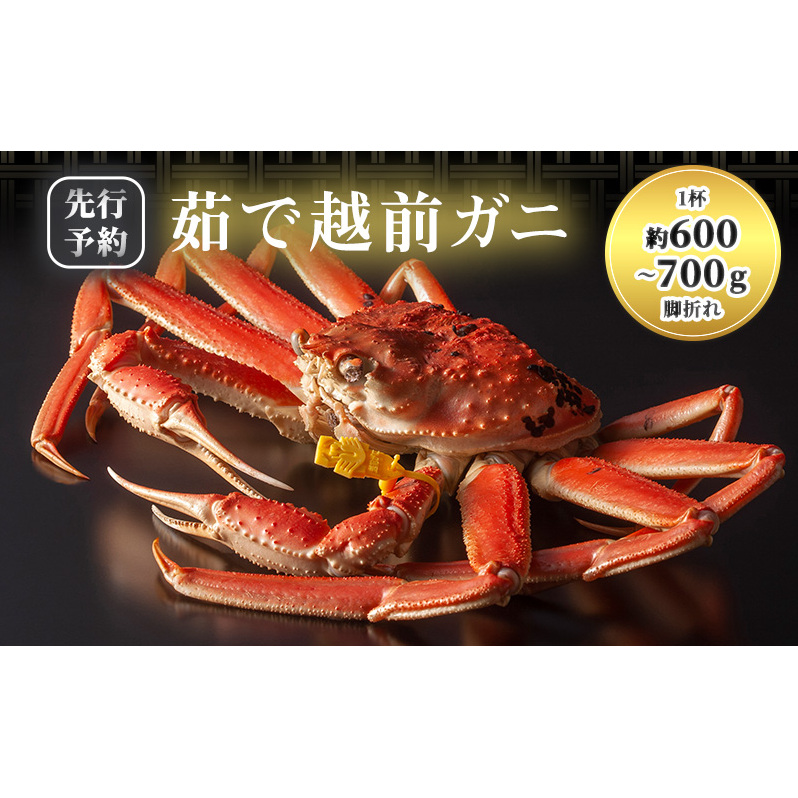 訳あり 期間限定 茹で 越前ガニ 約600g～700g未満 1杯  脚折れ 茹でガニ 越前カニ 越前蟹 ズワイガニ かに 蟹 海鮮 福井 福井県 若狭町