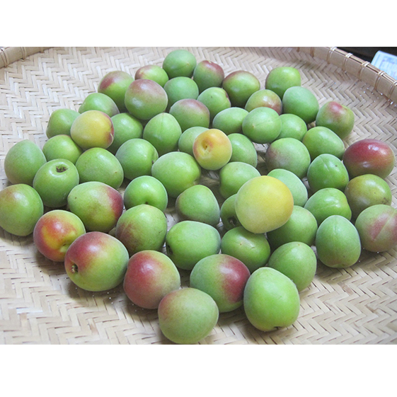 6月中旬~順次発送 青梅(紅映梅)1kg 2Lサイズ前後 秀と優の混合 野菜 ウメ