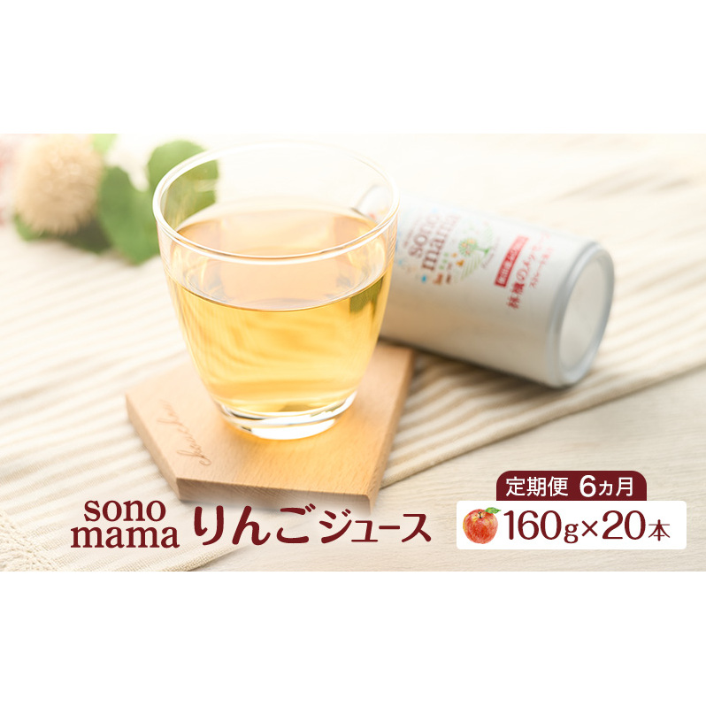 《 定期便 6ヵ月 》りんごジュース「sonomama」（160g×20本）りんご リンゴ ジュース リンゴジュース 飲料