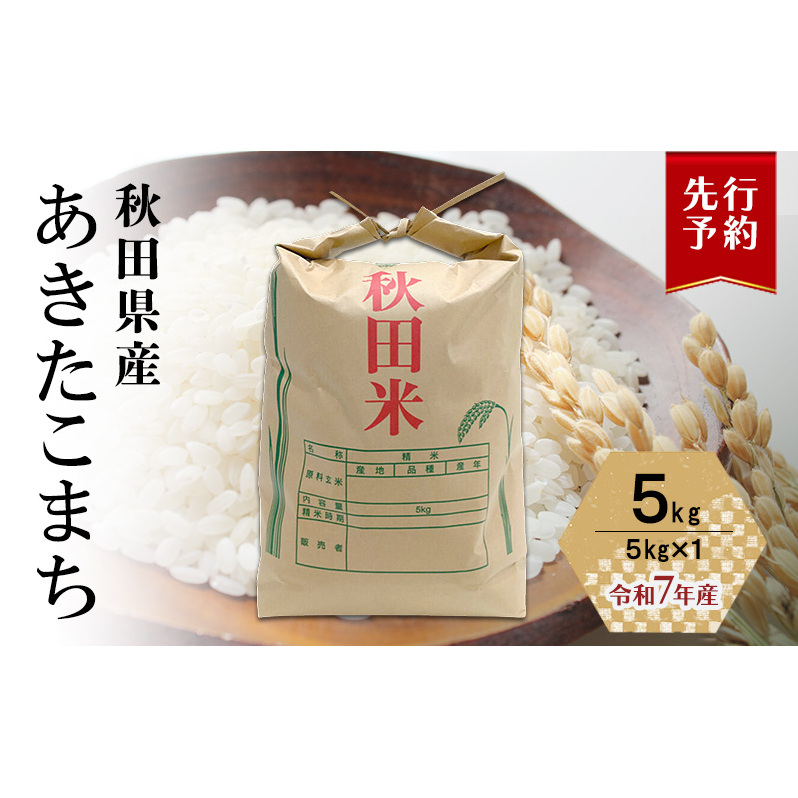 10月発送開始〈先行予約〉農家直送 秋田県産 あきたこまち 5kg (5kg×1)[令和7年産] 大谷地ファーム 田代のお米【 米 お米 ご飯 あきたこまち ブランド米 銘柄米 農家直送 特産品 秋田 羽後 】