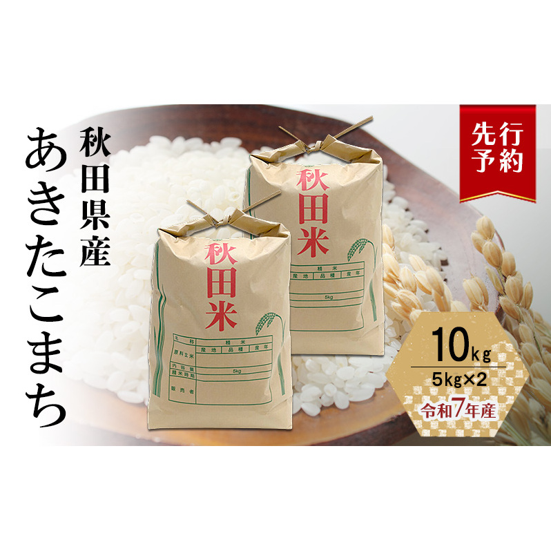 10月発送開始〈先行予約〉農家直送 秋田県産 あきたこまち 10kg (5kg×2)[令和7年産] 大谷地ファーム 田代のお米【 米 お米 ご飯 あきたこまち ブランド米 銘柄米 農家直送 特産品 秋田 羽後 】
